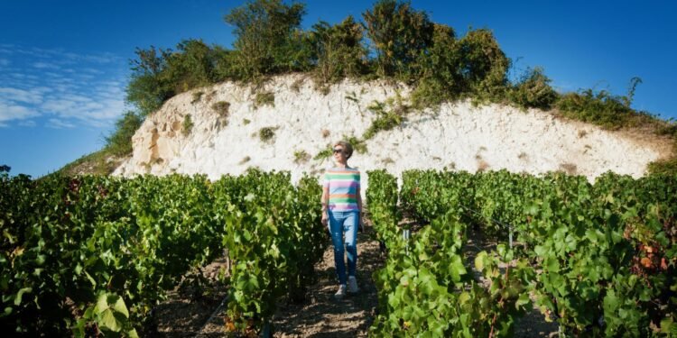 Can Chalky Soil Really Shape Champagne’s Signature Finesse?