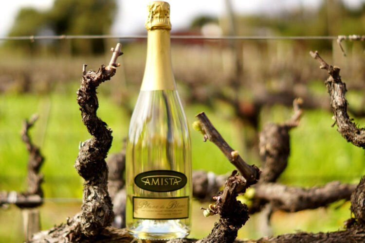 Is There a Difference Between Blanc de Blancs and Blanc de Noirs Champagne?