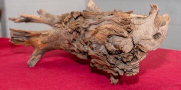 Champagne Can Be Aged in Wood?