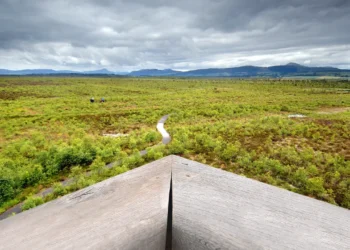 Can You Taste the Terroir in Your Whiskey?