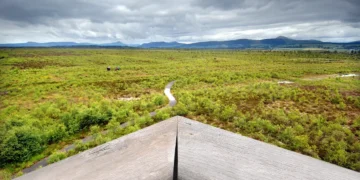 Can You Taste the Terroir in Your Whiskey?