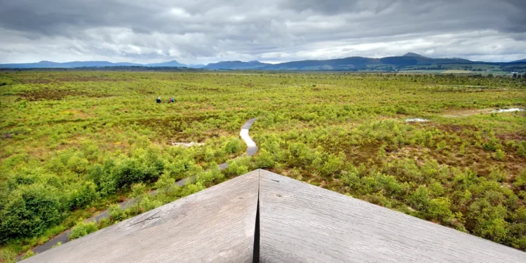 Can You Taste the Terroir in Your Whiskey?