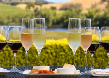 Wine Tasting: Can It Truly Be an Art Form?