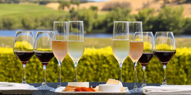 Wine Tasting: Can It Truly Be an Art Form?