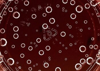 Are All Bubbles Equal in Champagne?