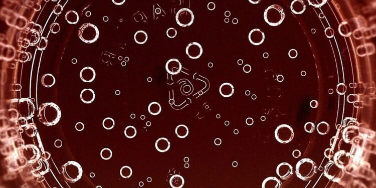 Are All Bubbles Equal in Champagne?