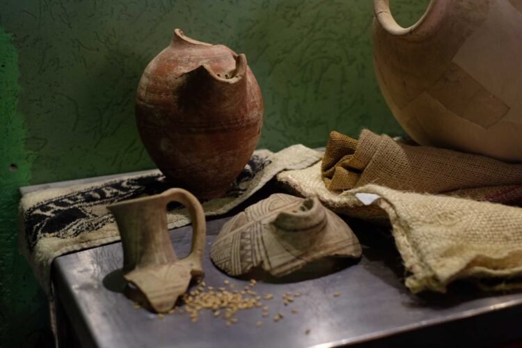 How Did Ancient Civilizations Brew Beer Without Modern Technology?