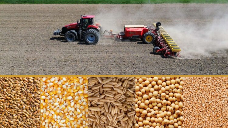 Could the Future of Spirits Start in the Grain Field?