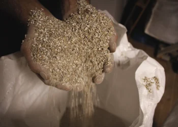 Grain Spirits the Unsung Heroes of Modern Mixology