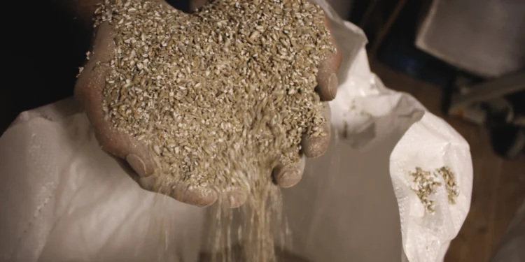 Grain Spirits the Unsung Heroes of Modern Mixology