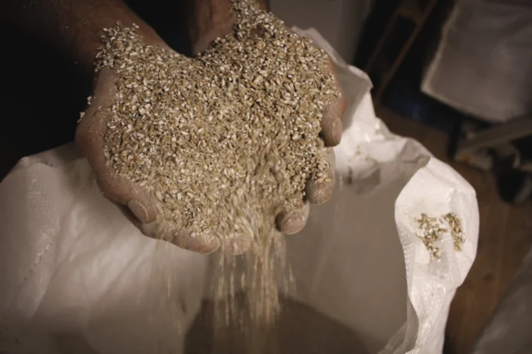 Grain Spirits the Unsung Heroes of Modern Mixology