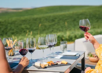 How Do Wine Glasses Influence the Tasting Experience?