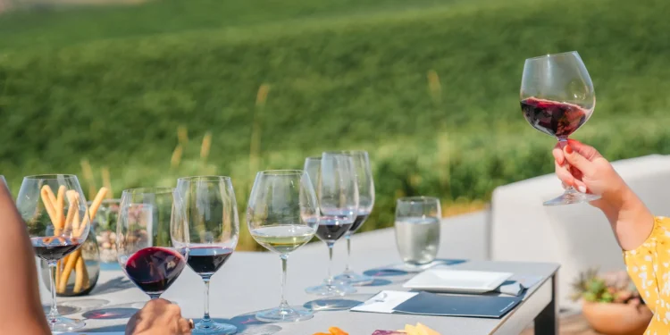 How Do Wine Glasses Influence the Tasting Experience?