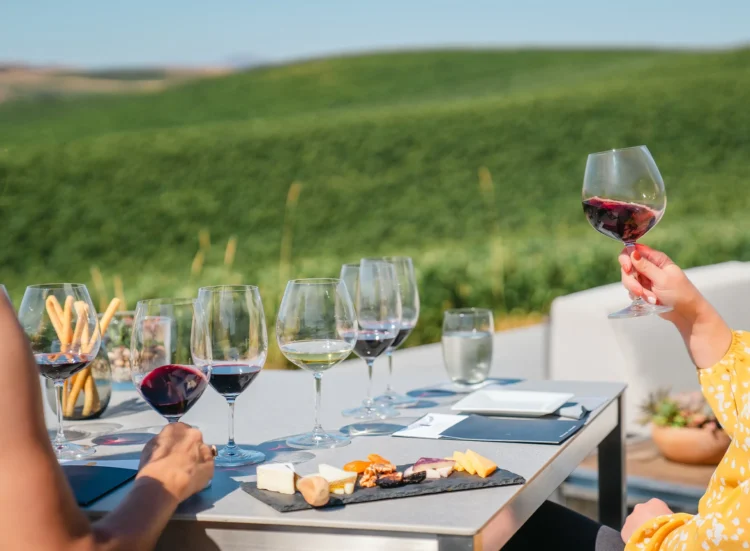 How Do Wine Glasses Influence the Tasting Experience?