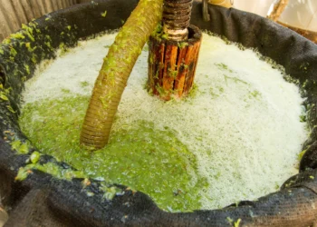 Are Skin-Contact White Wines the New Fine Wine Frontier?