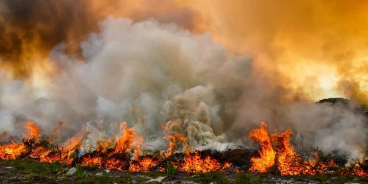 Can Smoke Taint Be Detected Before Fermentation?