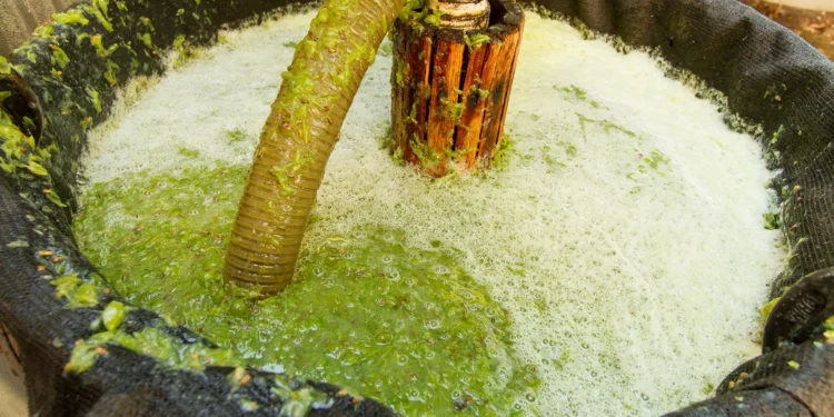 Are Skin-Contact White Wines the New Fine Wine Frontier?