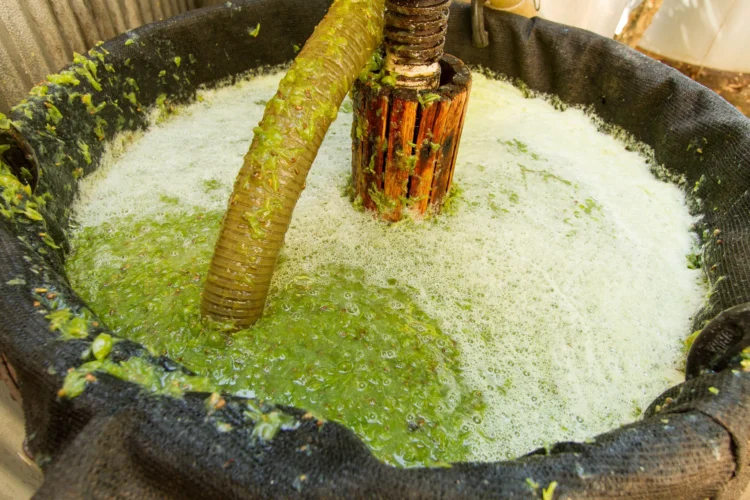 Are Skin-Contact White Wines the New Fine Wine Frontier?