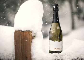 Does Champagne’s Appellation System Limit or Protect Innovation?