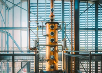 How Do Different Grains Impact the Flavor Profile of Distilled Spirits?