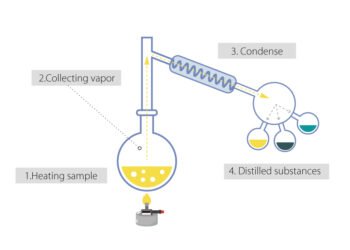 Is the Angel’s Share Poetry—or Pure Physics?
