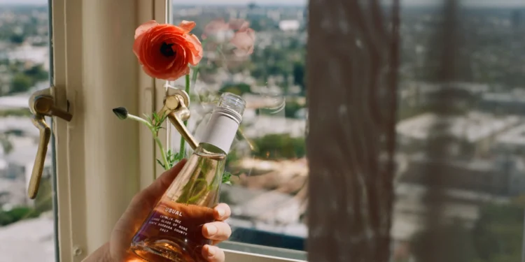 Wine Pairings: Can They Change the Flavor Profile of a Dish?