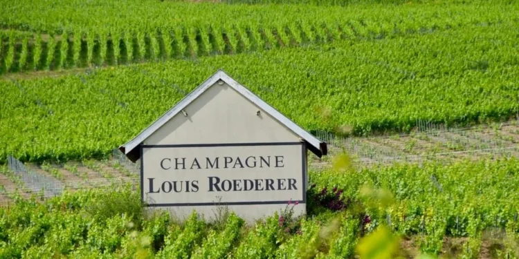 Is Champagne More About Acidity Than Aromas?