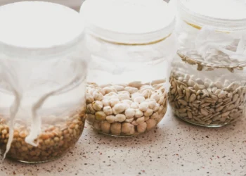 Why Do Some Grains Ferment Better Than Others?
