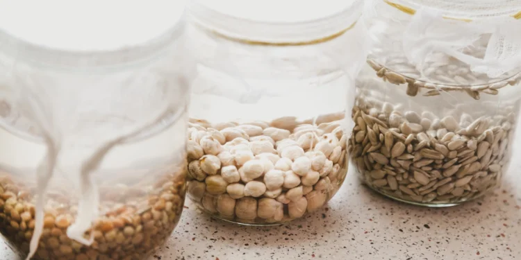 Why Do Some Grains Ferment Better Than Others?