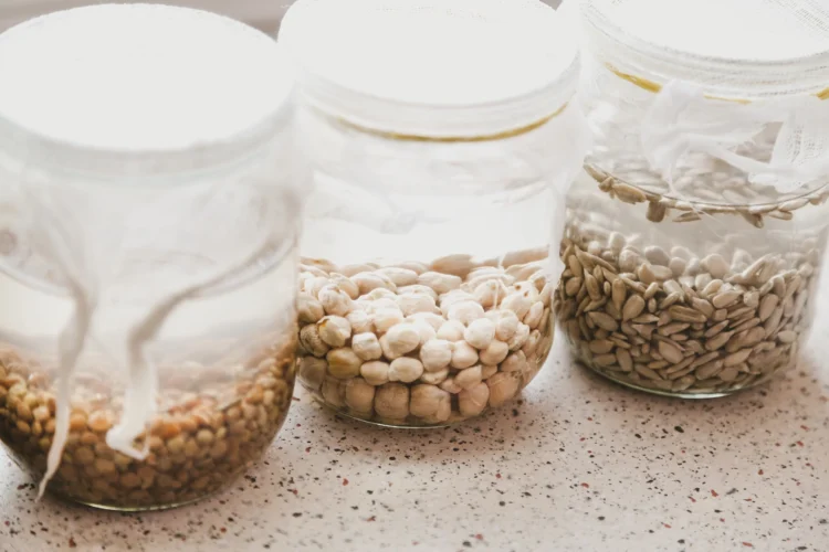 Why Do Some Grains Ferment Better Than Others?