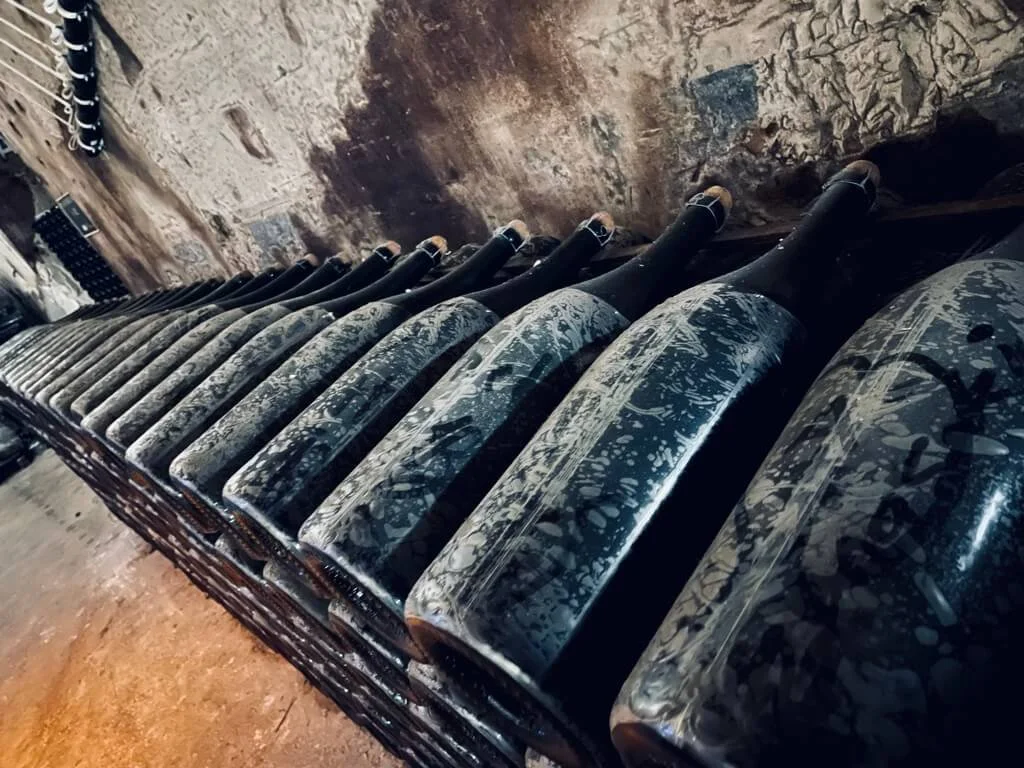 Champagne region in France | Champagne types | Best champagne house to visit — Winekeller -Tailored wine tours and wine travel