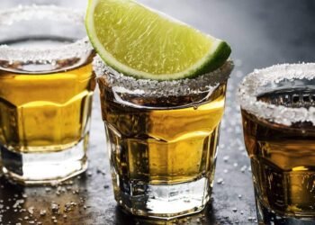 The Origins of Grain Spirits: Power, Society, and the Birth of Distilled Alcohol