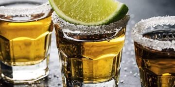 The Origins of Grain Spirits: Power, Society, and the Birth of Distilled Alcohol