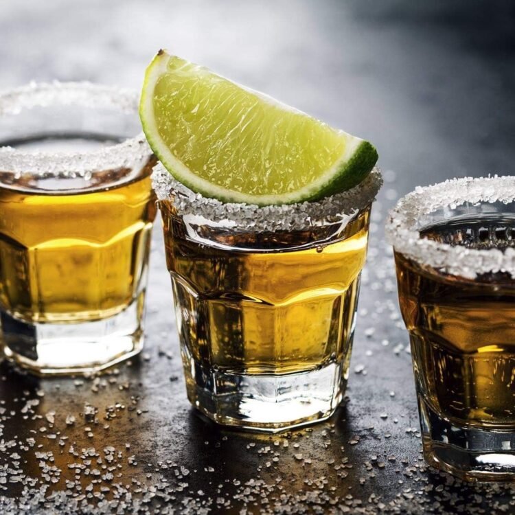 The Origins of Grain Spirits: Power, Society, and the Birth of Distilled Alcohol