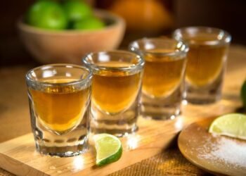 The Origins of Grain Spirits: Power, Society, and the Birth of Distilled Alcohol