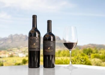 Modern Wine Trends: How a New Generation Is Redefining Wine Culture