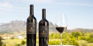 Modern Wine Trends: How a New Generation Is Redefining Wine Culture