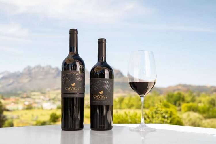 Modern Wine Trends: How a New Generation Is Redefining Wine Culture