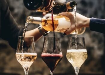 The World of Wine: A Deep Dive into Taste, Terroir, and Tradition