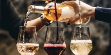 The World of Wine: A Deep Dive into Taste, Terroir, and Tradition