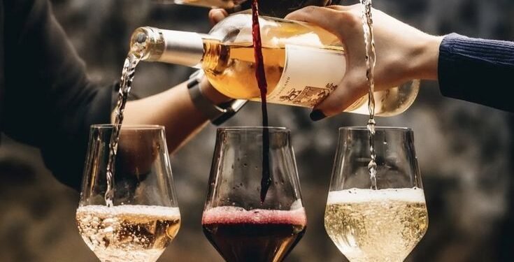 The World of Wine: A Deep Dive into Taste, Terroir, and Tradition