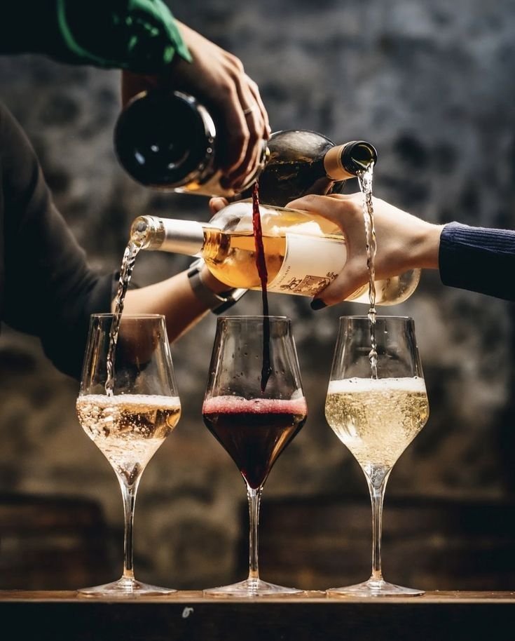 The World of Wine: A Deep Dive into Taste, Terroir, and Tradition