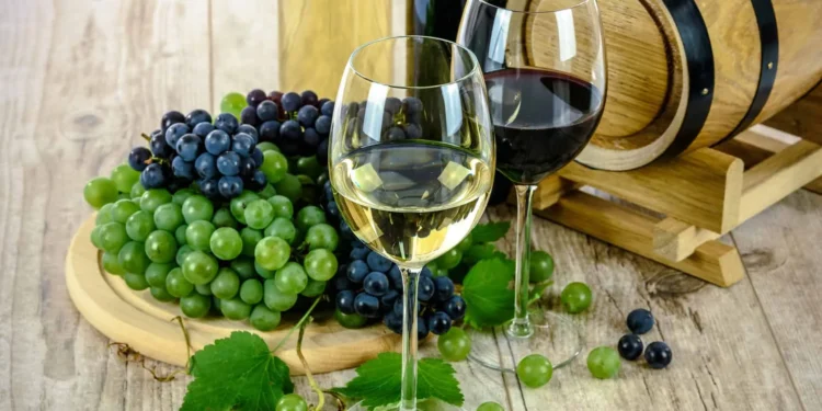 The History and Culture of Wine: From Ancient Traditions to Modern Lifestyle