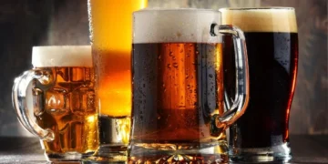 Beer History and Cultural Evolution: From Ancient Grains to Modern Brews