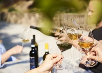 Wine as Culture, Craft, and Time — Understanding the Soul of the World’s Most Enduring Drink