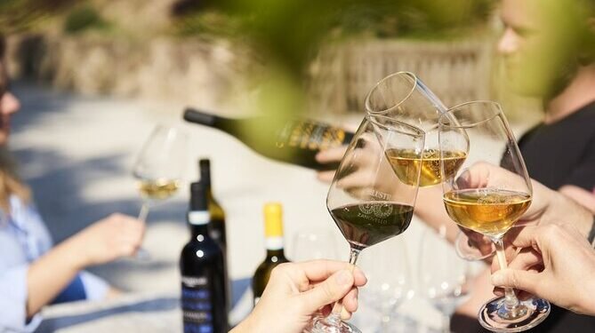 Wine as Culture, Craft, and Time — Understanding the Soul of the World’s Most Enduring Drink