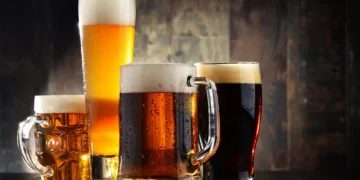 Beer as a Cultural and Social Force: From Ancient Brew to Modern Identity