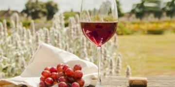 Red Wine — The Liquid Expression of Land, Time, and Human Intention