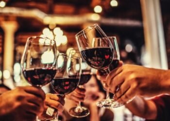 Red Wine — The Liquid Expression of Land, Time, and Human Intention