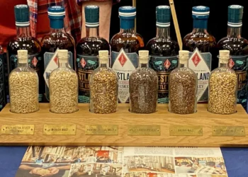Grain Spirits Explained — The Foundation of Global Distillation